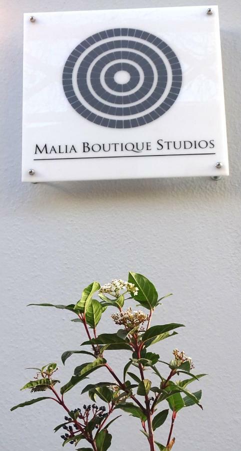 Malia Boutique Studios Εξωτερικό φωτογραφία